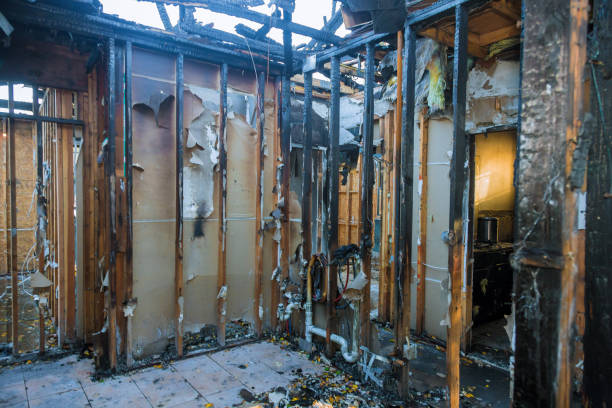 Professional Fire Damage Repair technician working in Pine City, MN