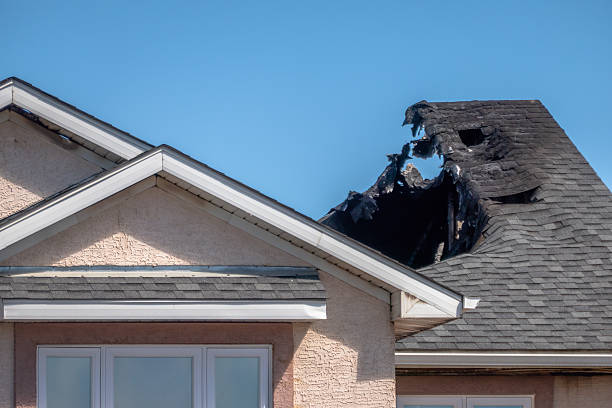 Top rated local Fire Damage Repair specialists in Pine City, MN